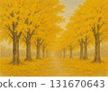 Shining ginkgo trees 131670643