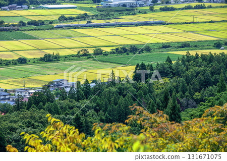 新幹線翼 131671075