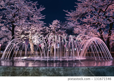 噴泉和櫻花 噴泉和櫻花 131671546