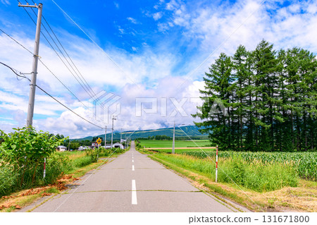 北海道十勝市的廣闊農場 131671800