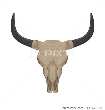 Illustration of Texas longhorn bull skull Illustration of Texas longhorn bull skull 131672138