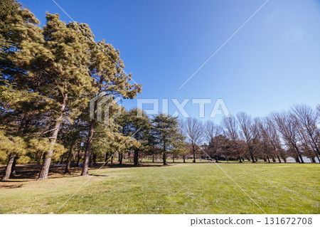 Canberra Nara Peace Park in Australia Canberra Nara Peace Park in Australia 131672708