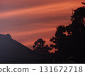 The crimson sunset sky and the silhouette of trees 131672718