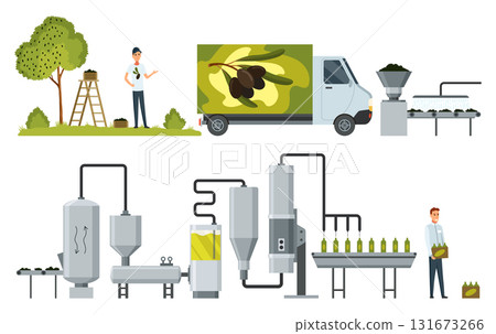 Olive oil production in factory, manufacture process stages set. Washing and pressing of olive harvest, filtration and refining with machinery, bottling for delivery cartoon vector illustration Olive oil production in factory, manufacture process stages set. Washing and pressing of olive harvest, filtration and refining with machinery, bottling for delivery cartoon vector illustration 131673266