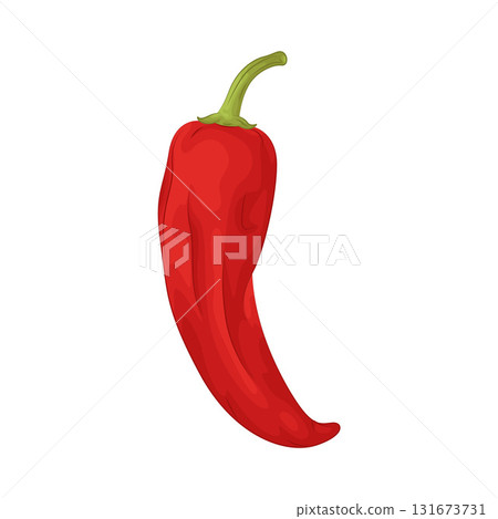 Illustration of red chili pepper  131673731