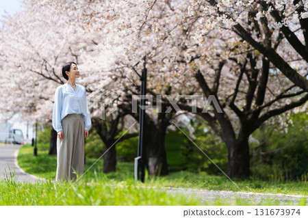 A young woman walking along a row of cherry blossom trees. Lifestyle image A young woman walking along a row of cherry blossom trees. Lifestyle image 131673974