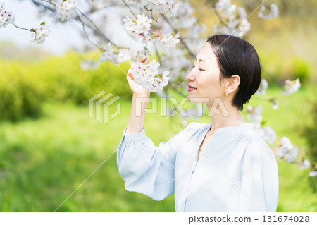 Young woman looking at cherry blossom petals Lifestyle image Young woman looking at cherry blossom petals Lifestyle image 131674028
