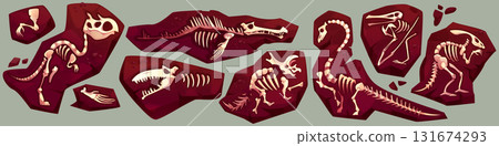 Ancient dinosaur fossil skeleton fragments 131674293