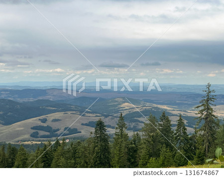 Dense pine forest in the foreground with rolling green hills and distant mountains under a sky Dense pine forest in the foreground with rolling green hills and distant mountains under a sky 131674867