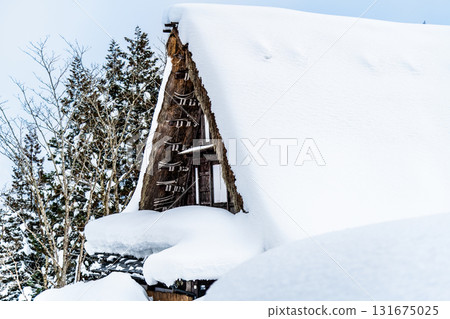 Snow-covered houses in Ainokura Gassho-style village in Gokayama 131675025