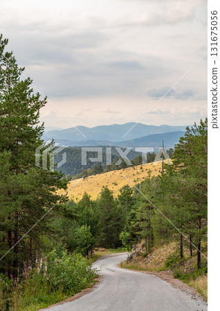 Winding road passing through dense green forest with mountains in the background under cloudy sky. Winding road passing through dense green forest with mountains in the background under cloudy sky. 131675056