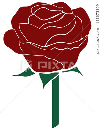 red rose flower illustration red rose flower illustration 131675509