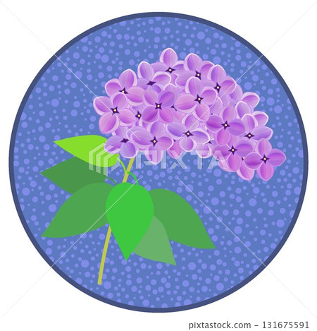 Lilac illustration with circular background Lilac illustration with circular background 131675591