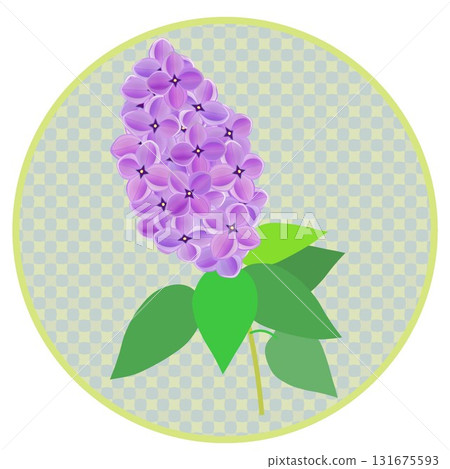 Lilac illustration with circular background Lilac illustration with circular background 131675593