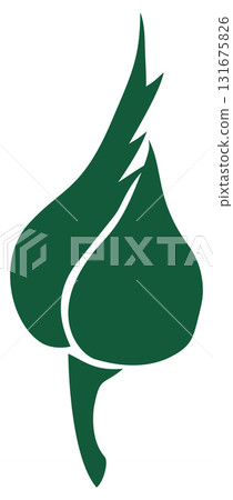 rosebud, opening bud rosebud, opening bud 131675826