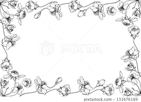 Cherry sakura white flower and bud on stems, hand drawn vector ink, apple blossom early spring wildflower botanical illustration. Isolated horizontal frame, for wedding, florist shop, scrapbooking 131676189