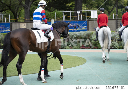 東京賽馬場（府中賽馬場）圍場 131677461