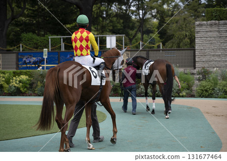 Tokyo Racecourse (Fuchu Racecourse) Paddock Tokyo Racecourse (Fuchu Racecourse) Paddock 131677464