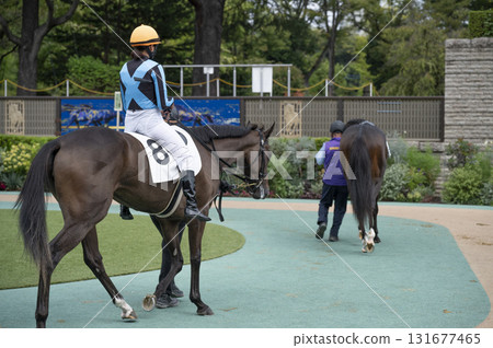 Tokyo Racecourse (Fuchu Racecourse) Paddock 131677465