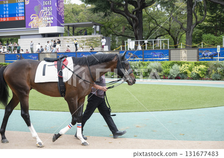東京賽馬場（府中賽馬場）圍場 131677483