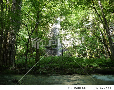 Shiraito Falls surrounded by fresh greenery Shiraito Falls surrounded by fresh greenery 131677553