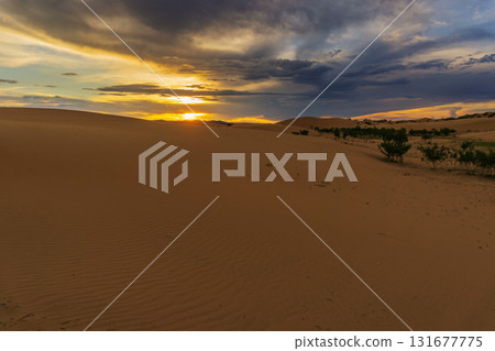 Landscape in desert at sunset Landscape in desert at sunset 131677775