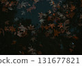 Autumn leaves floating on dark water create a serene moody scene. A tranquil moment with fallen leaves resting on a dark water surface, creating a sense of calm and moody beauty of autumn. 131677821