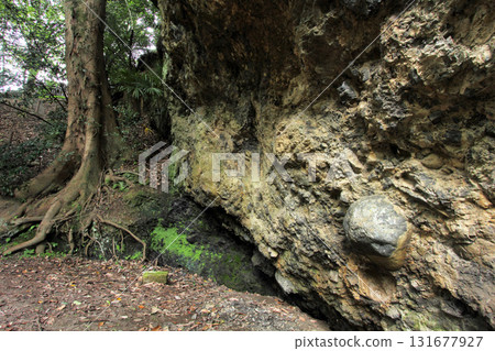 前原誠司的不一致 131677927