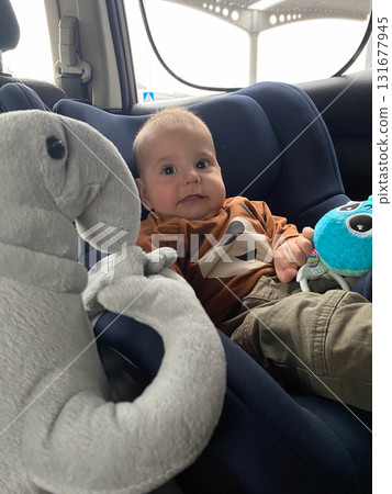 Baby Smiling at Plush Toy Elephant in Car Seat Baby Smiling at Plush Toy Elephant in Car Seat 131677945