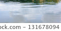 Calm lake water with reflections of sky and trees 131678094