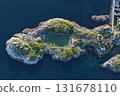 Henningsvaer village and football pitch in lofoten, norway 131678110