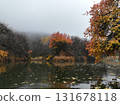 Autumn forest lake reflected in calm foggy water, Kazakhstan 131678118