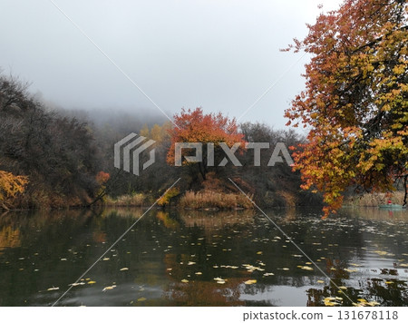 Autumn forest lake reflected in calm foggy water, Kazakhstan Autumn forest lake reflected in calm foggy water, Kazakhstan 131678118