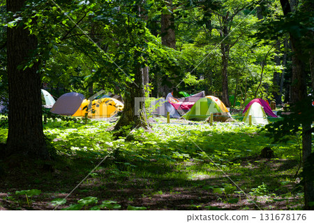Colorful tents lined up in the forest at Konashidaira Campground in Kamikochi, dappled with sunlight. Colorful tents lined up in the forest at Konashidaira Campground in Kamikochi, dappled with sunlight. 131678176