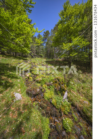 Laguna Negra y Circos Glaciares de Urbion Natural Park, Spain 131678434