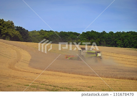 Combine harvester in the field harvesting grain in autumn harvest time. Concept for agriculture and industry. Combine harvester in the field harvesting grain in autumn harvest time. Concept for agriculture and industry. 131678470
