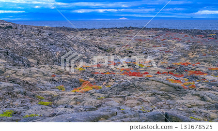 Volcanic Landscape, Galapagos National Park 131678525