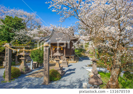 印家屋神社的櫻花(浮羽市) 印家屋神社的櫻花(浮羽市) 131678559