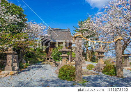 印家屋神社的櫻花（浮羽市） 131678560