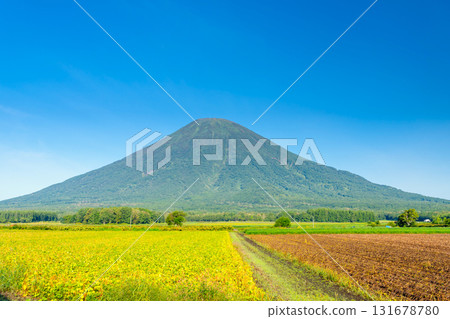 Mount Yotei in summer, Hokkaido 131678780