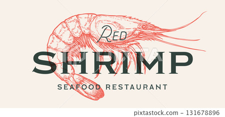 Shrimp, seafood, sketch. Vintage print, seafood shrimp prawn sketch, ink pencil drawing prawn, engrave sketch, hand drawn prawn. Tag packaging, label product. artwork shrimp. Vector Illustration Shrimp, seafood, sketch. Vintage print, seafood shrimp prawn sketch, ink pencil drawing prawn, engrave sketch, hand drawn prawn. Tag packaging, label product. artwork shrimp. Vector Illustration 131678896