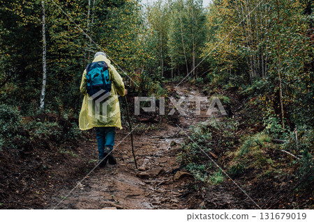 Rear view of a tourist in a raincoat with a backpack and a stick walking along a rocky path in the autumn forest. 131679019