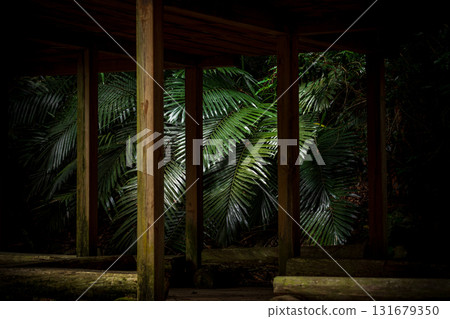 Composition of the pavilion in the foreground and leaves in the background 131679350
