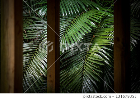 前景涼亭與後景葉子的構圖 131679355