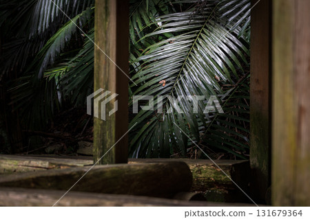 前景涼亭與後景葉子的構圖 131679364