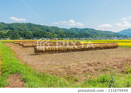 Azumino in autumn 131679449