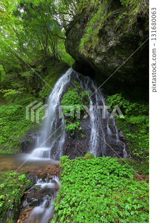 不動尊瀑布（京都府南丹市美山町） 131680063