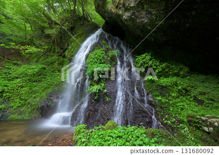 不動尊瀑布（京都府南丹市美山町） 131680092