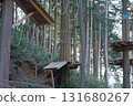 Athletic scenery using natural forest 131680267