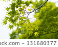 Scenery of Okayama 131680377
